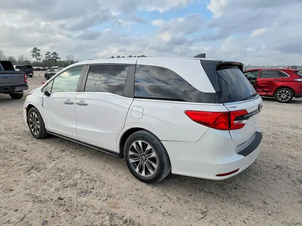 5FNRL6H61RB024817 2024 HONDA ODYSSEY - Image 2