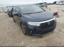 5FNRL6H61RB026017 2024 HONDA ODYSSEY