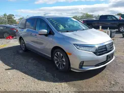 5FNRL6H61RB030276 2024 HONDA ODYSSEY