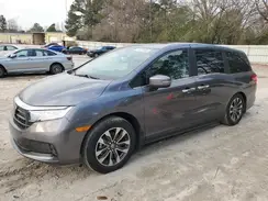 5FNRL6H61RB037843 2024 HONDA ODYSSEY
