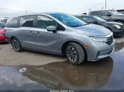 5FNRL6H61RB044727 2024 HONDA ODYSSEY