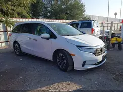 5FNRL6H61RB047398 2024 HONDA ODYSSEY