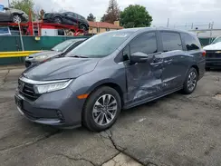 5FNRL6H61RB047823 2024 HONDA ODYSSEY