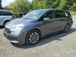 5FNRL6H61RB053072 2024 HONDA ODYSSEY