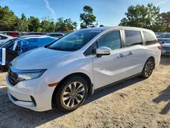 5FNRL6H61RB053489 2024 HONDA ODYSSEY