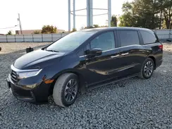 5FNRL6H61RB056117 2024 HONDA ODYSSEY