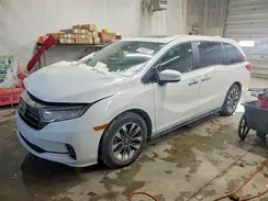 5FNRL6H61RB062497 2024 HONDA ODYSSEY
