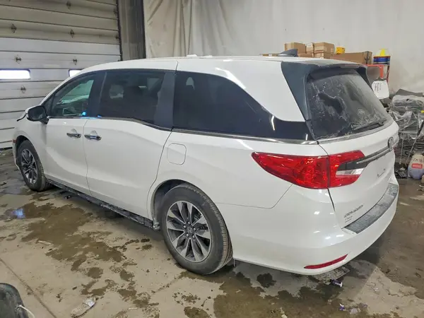 5FNRL6H61RB062497 2024 HONDA ODYSSEY - Image 2