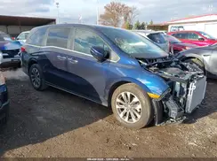 5FNRL6H61RB064654 2024 HONDA ODYSSEY