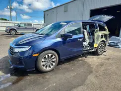 5FNRL6H61RB067604 2024 HONDA ODYSSEY
