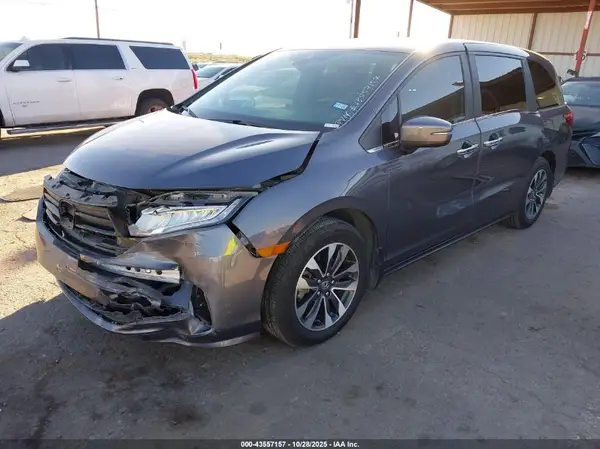 5FNRL6H61RB073645 2024 HONDA ODYSSEY - Image 2