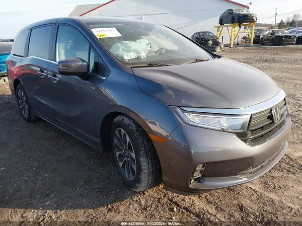 5FNRL6H61RB074231 2024 HONDA ODYSSEY - Image 1
