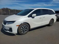 5FNRL6H61SB011880 2025 HONDA ODYSSEY