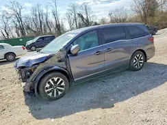5FNRL6H61SB022135 2025 HONDA ODYSSEY