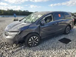 5FNRL6H61SB042076 2025 HONDA ODYSSEY