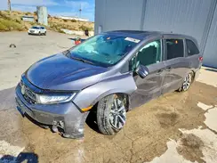 5FNRL6H61SB059461 2025 HONDA ODYSSEY