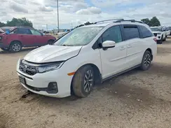 5FNRL6H61TB003702 2026 HONDA ODYSSEY