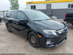5FNRL6H62LB504176 2020 HONDA ODYSSEY