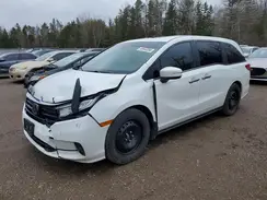 5FNRL6H62NB504469 2022 HONDA ODYSSEY