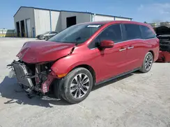 5FNRL6H62PB013130 2023 HONDA ODYSSEY