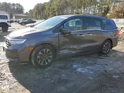 5FNRL6H62PB069715 2023 HONDA ODYSSEY