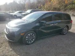 5FNRL6H62PB076065 2023 HONDA ODYSSEY