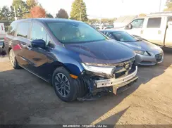 5FNRL6H62RB005161 2024 HONDA ODYSSEY