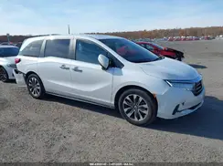 5FNRL6H62RB005838 2024 HONDA ODYSSEY