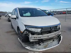 5FNRL6H62RB013597 2024 HONDA ODYSSEY
