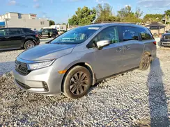 5FNRL6H62RB015950 2024 HONDA ODYSSEY