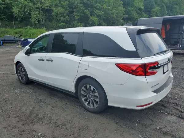 5FNRL6H62RB022168 2024 HONDA ODYSSEY - Image 2