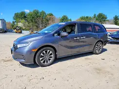 5FNRL6H62RB034031 2024 HONDA ODYSSEY