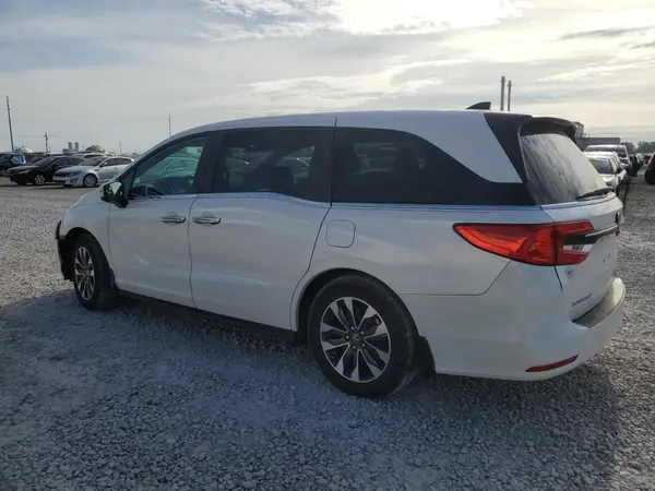 5FNRL6H62RB034417 2024 HONDA ODYSSEY - Image 2
