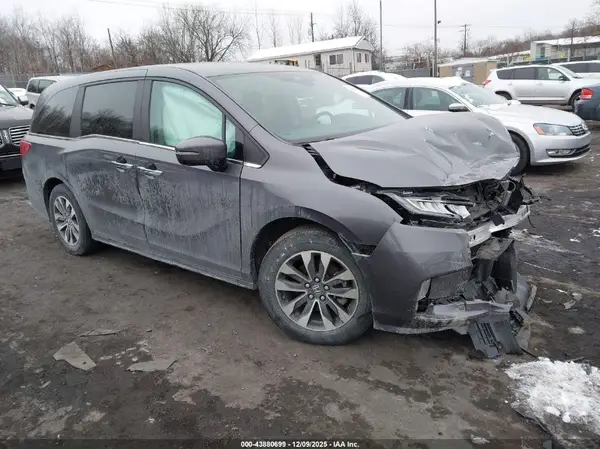 5FNRL6H62RB039035 2024 HONDA ODYSSEY - Image 1