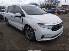 5FNRL6H62RB039407 2024 HONDA ODYSSEY