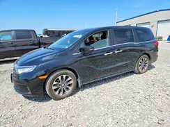 5FNRL6H62RB040993 2024 HONDA ODYSSEY