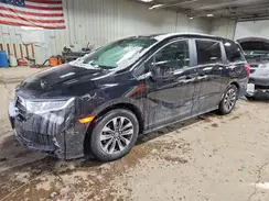 5FNRL6H62RB041691 2024 HONDA ODYSSEY