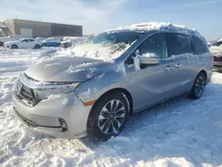 5FNRL6H62RB043232 2024 HONDA ODYSSEY