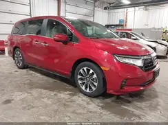 5FNRL6H62RB045417 2024 HONDA ODYSSEY