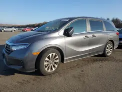 5FNRL6H62RB049354 2024 HONDA ODYSSEY