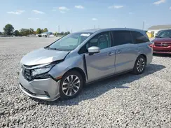 5FNRL6H62RB052352 2024 HONDA ODYSSEY