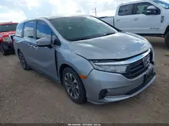 5FNRL6H62RB053517 2024 HONDA ODYSSEY