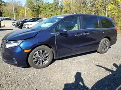 5FNRL6H62RB056630 2024 HONDA ODYSSEY