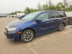 5FNRL6H62RB058362 2024 HONDA ODYSSEY