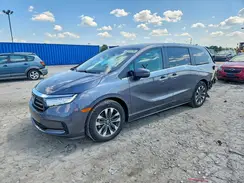 5FNRL6H62RB062590 2024 HONDA ODYSSEY