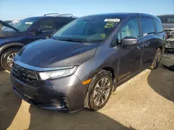 5FNRL6H62RB065263 2024 HONDA ODYSSEY