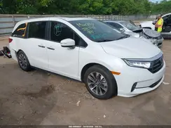 5FNRL6H62RB068146 2024 HONDA ODYSSEY