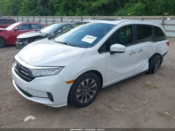 5FNRL6H62RB068146 2024 HONDA ODYSSEY - Image 2