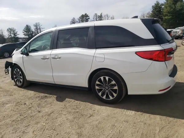 5FNRL6H62RB069216 2024 HONDA ODYSSEY - Image 2
