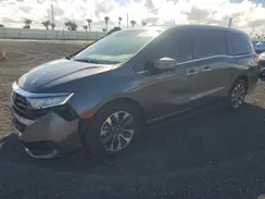 5FNRL6H62RB069569 2024 HONDA ODYSSEY
